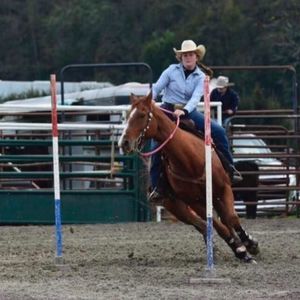 Meet your Posher, Sydney